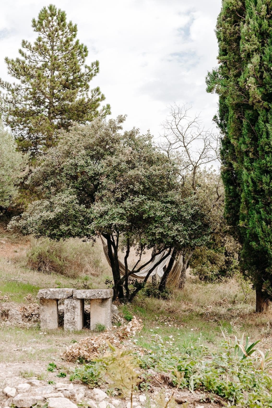 All around, Provençal nature. © Lili In Wonderland