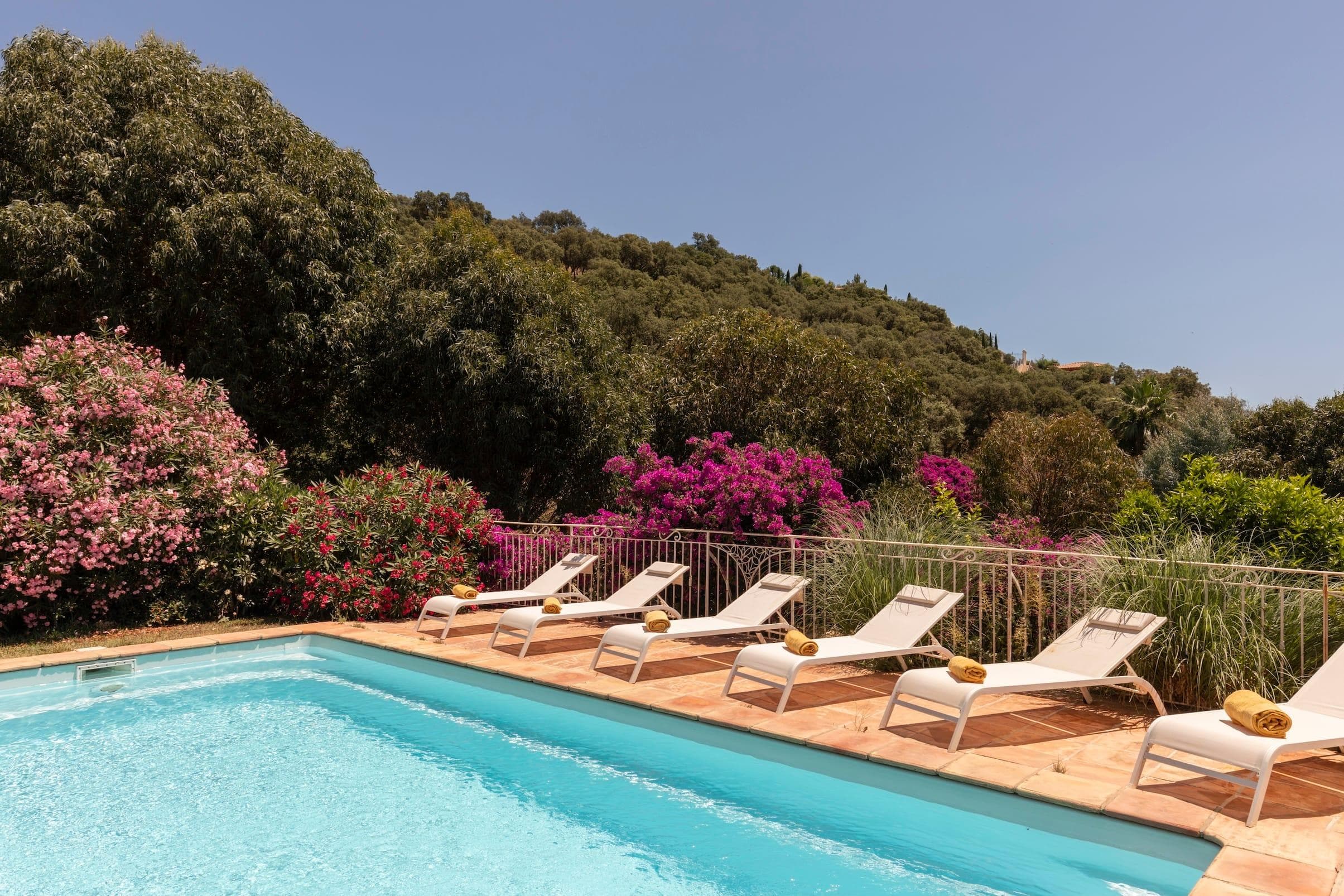 Une vue panoramique sur la nature très appréciée depuis la piscine.