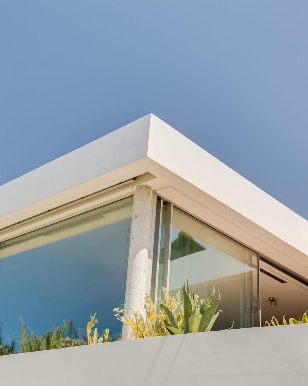 Modern corner house with large bay windows and sleek white walls, framed by a light blue sky. Succulent plants line the edge of the building, highlighting the minimalist design.