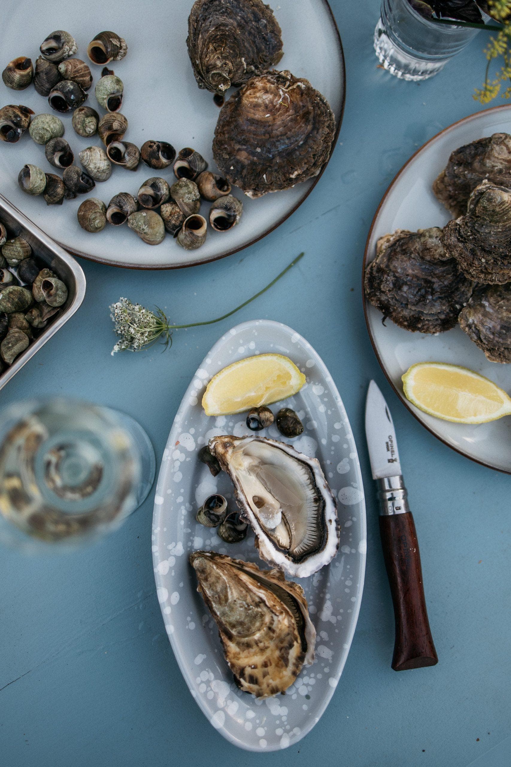 After a walk on the beach, enjoy some oysters in the garden of Maison Passage. © Yann Audic