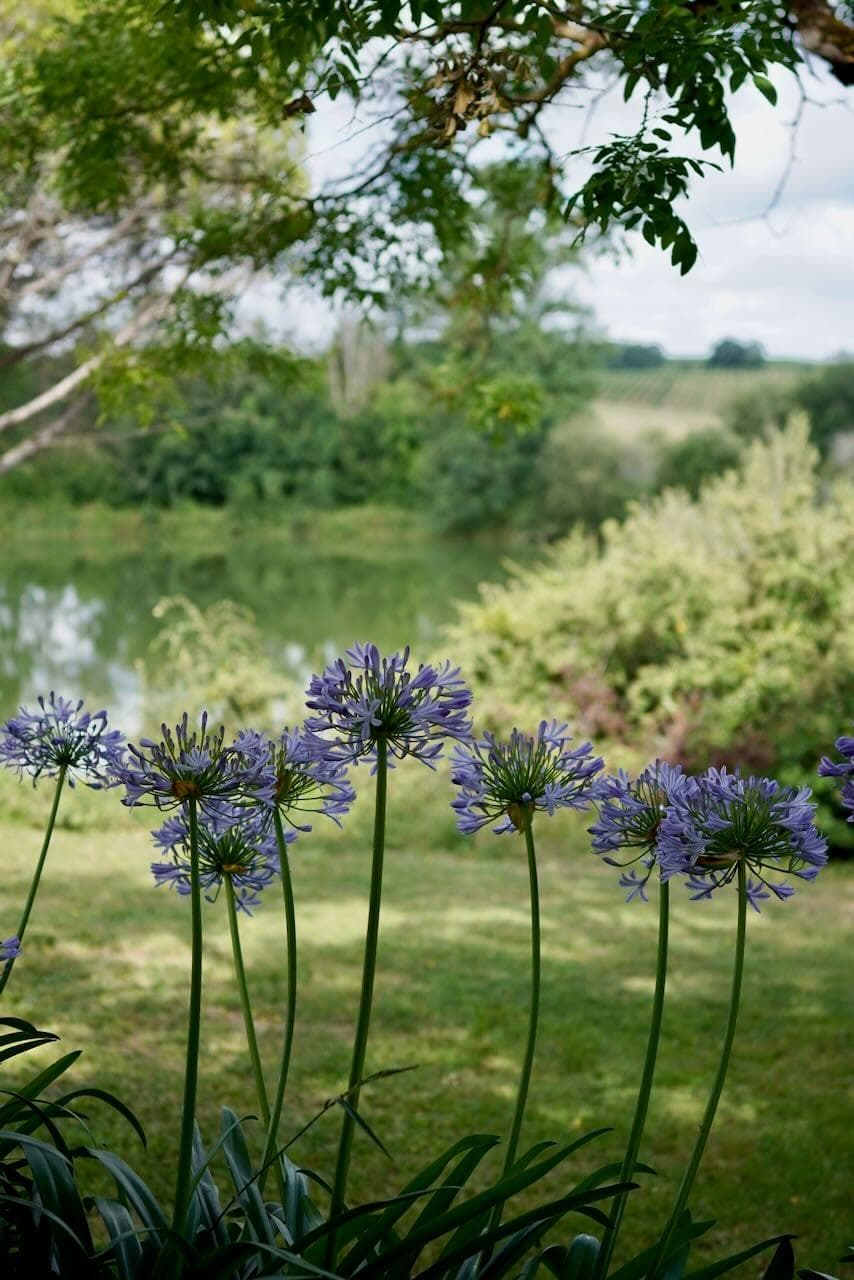 Partout, la nature.