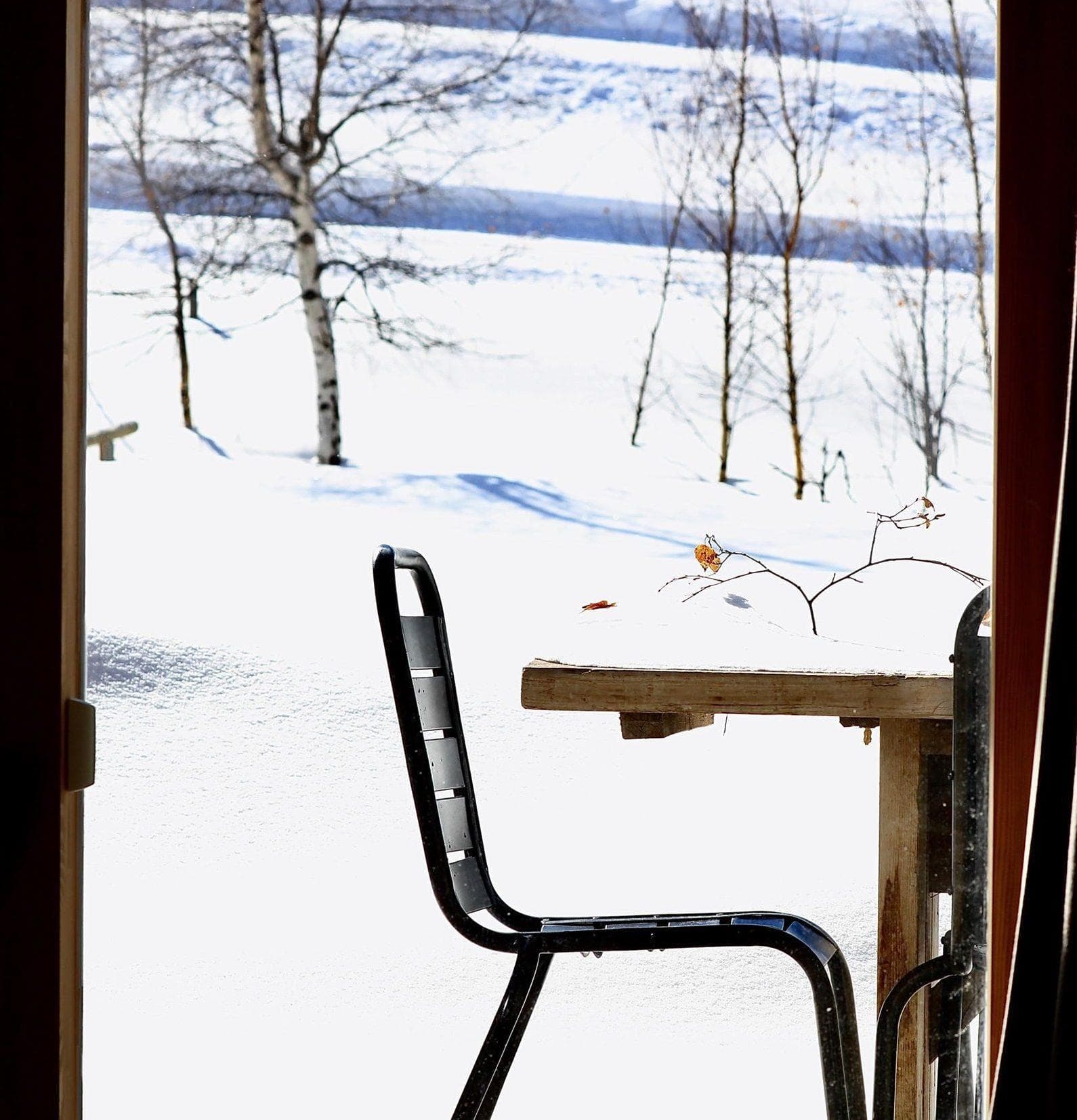 Tea time sous la neige dans le jardin d'Artemisia.