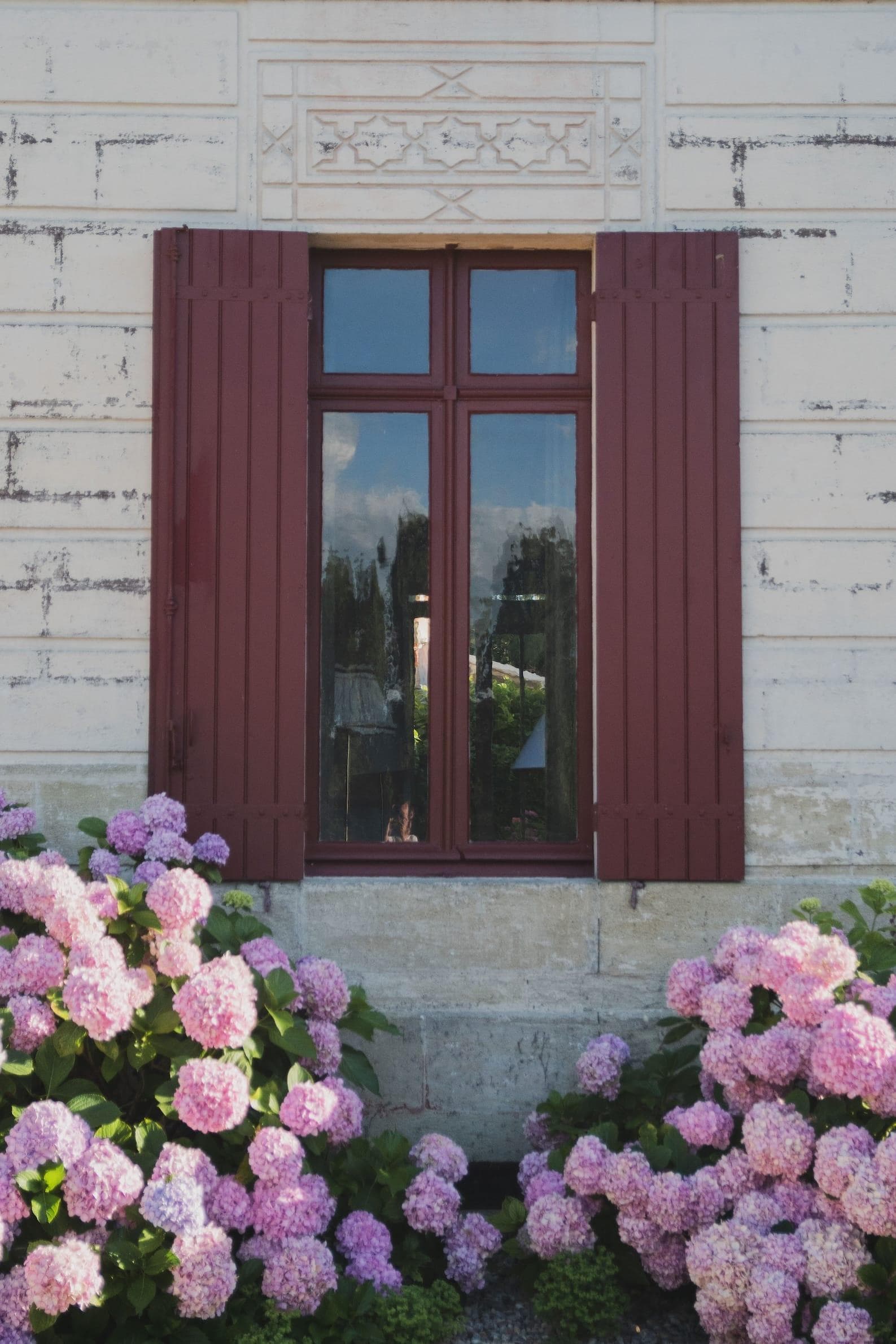 Les jolis hortensias qui entourent la maison. © Baptiste Namur