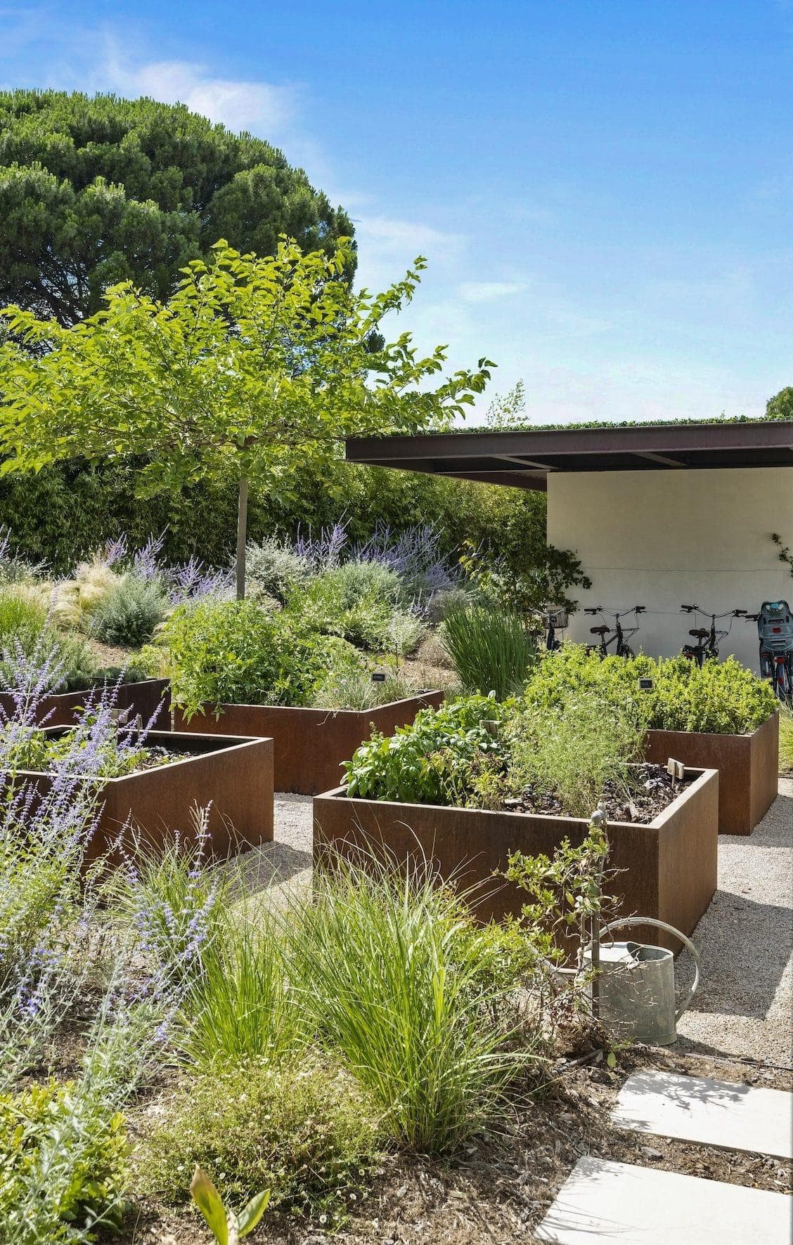 Villa Shesh's garden.