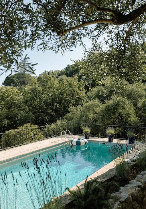 Sunbathing among olive trees and lavender. © Caro Cuinet