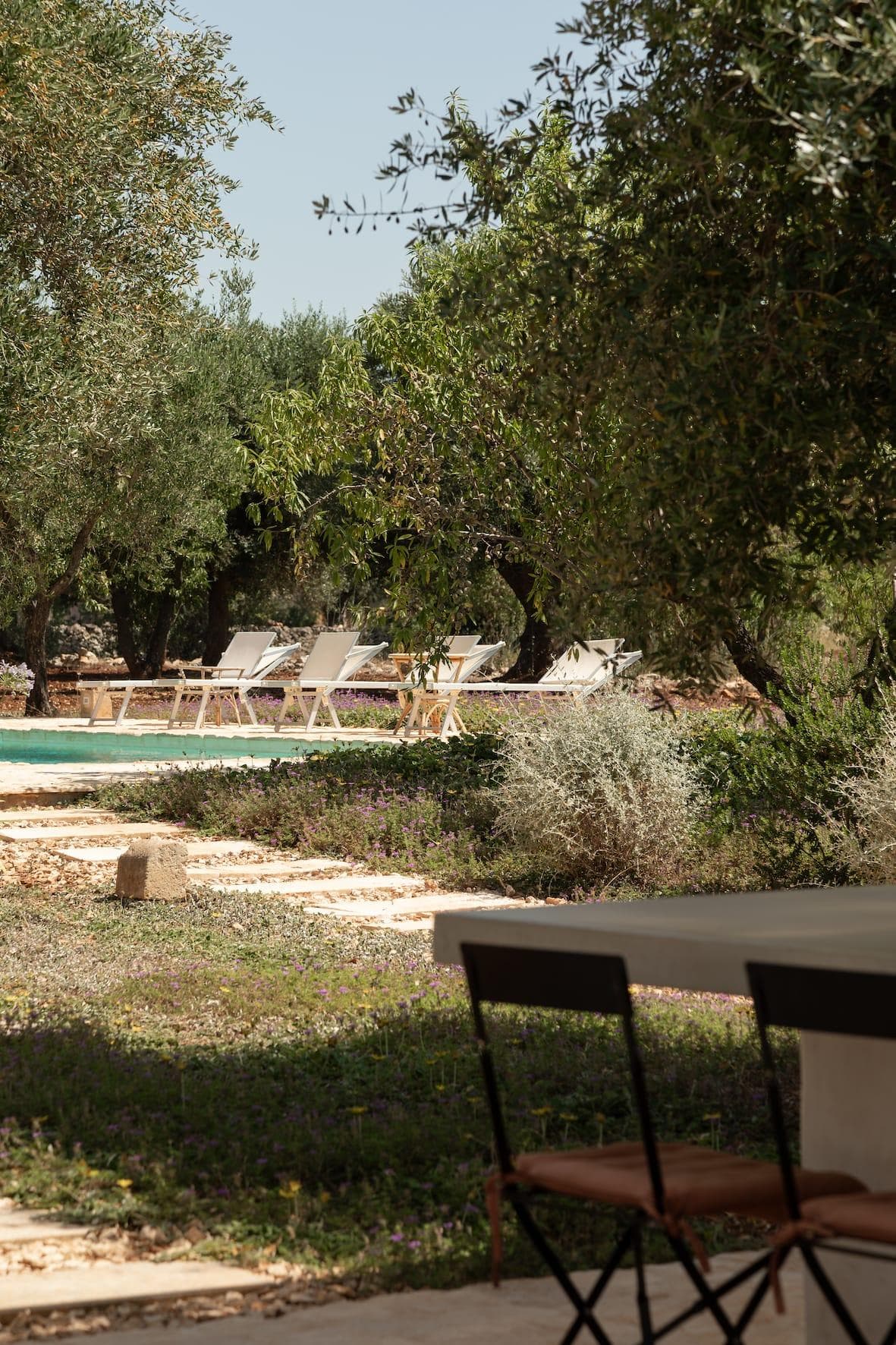 Lunch under the olive trees. © Fiona Walker Arnott