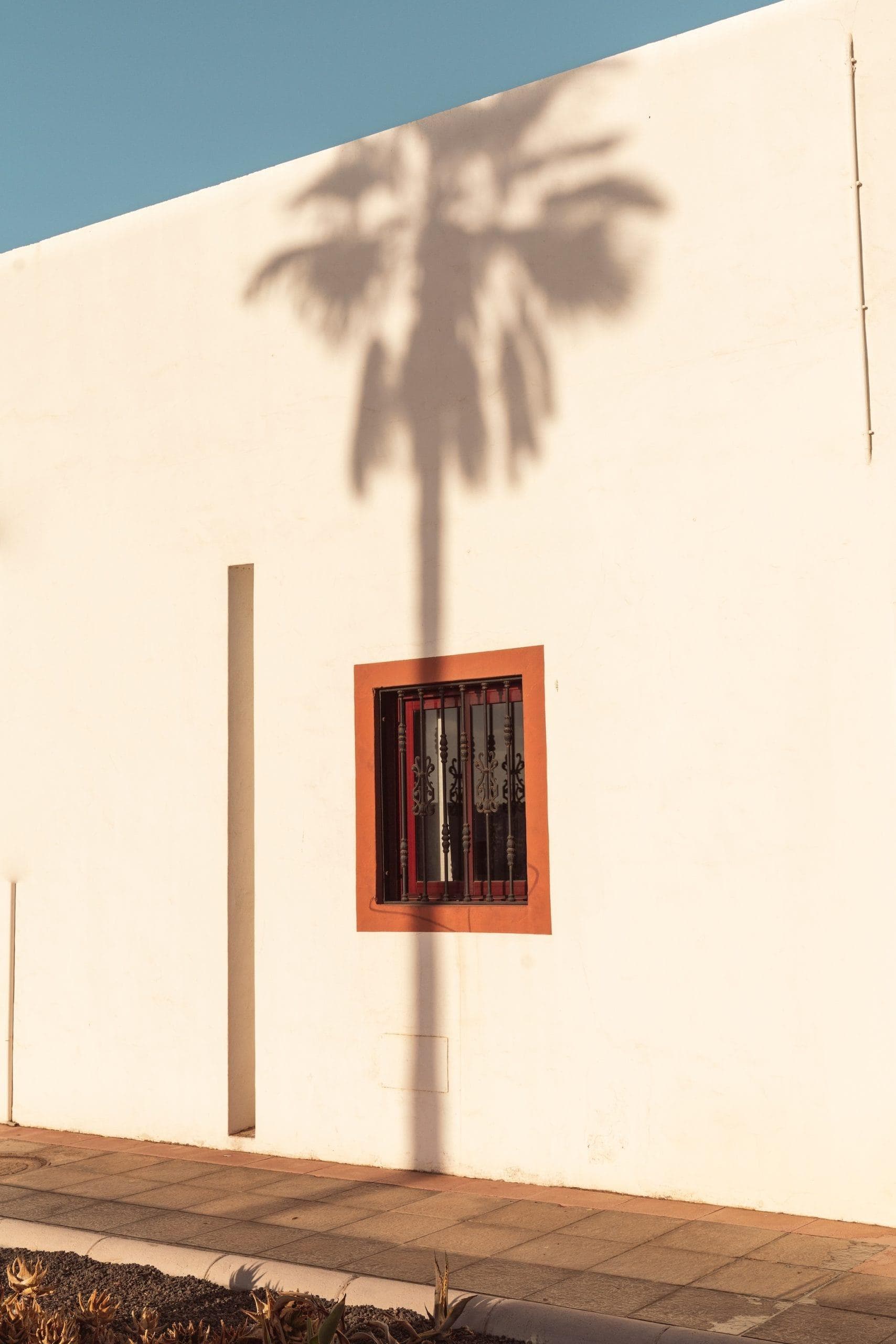 Under the palm trees, we soak up the sun. © Marcos Rodríguez