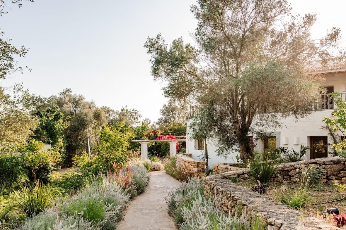 A glimpse of the stunning Mediterranean garden. © Ana Lui