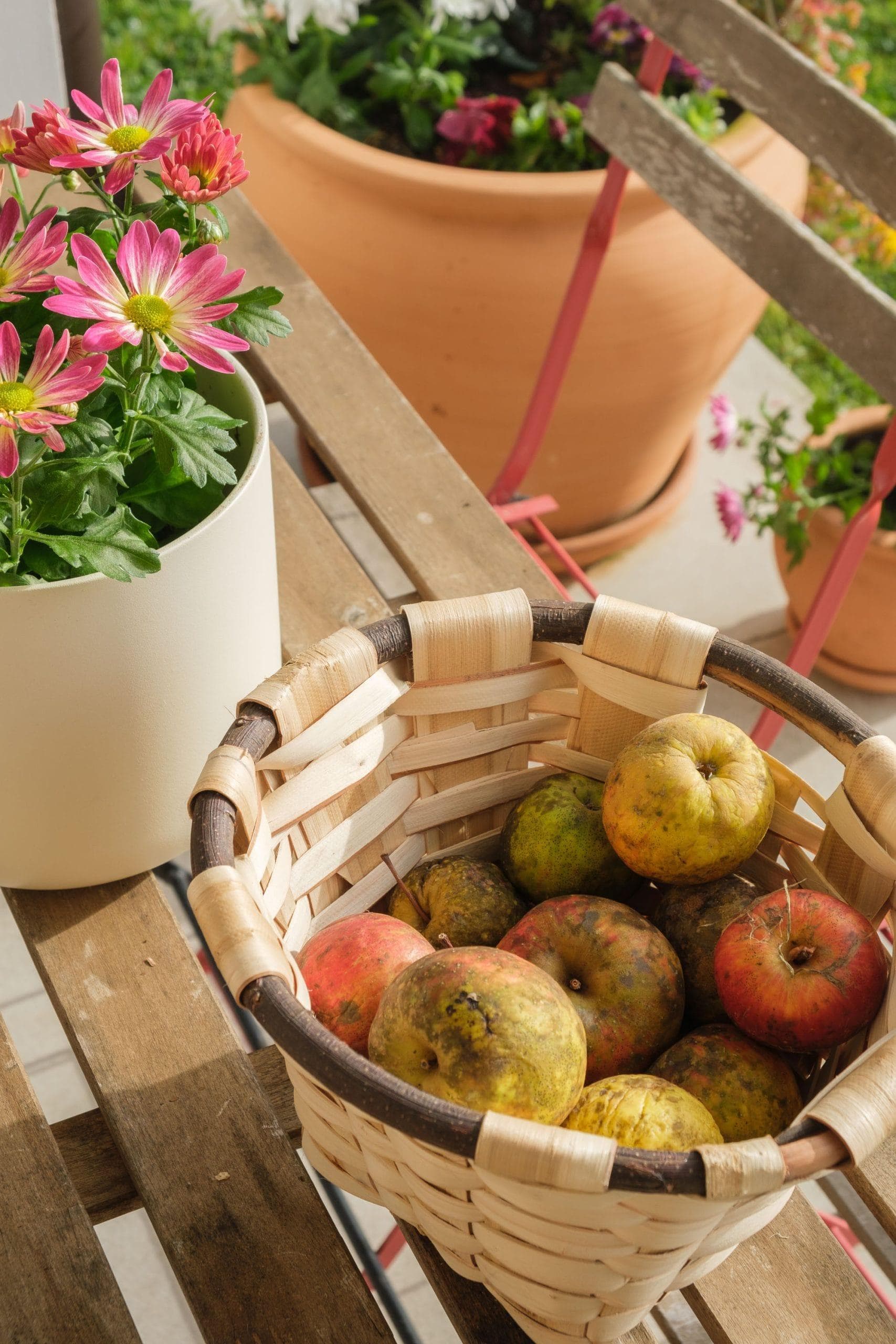With the apples from the garden, we make a delicious pie.