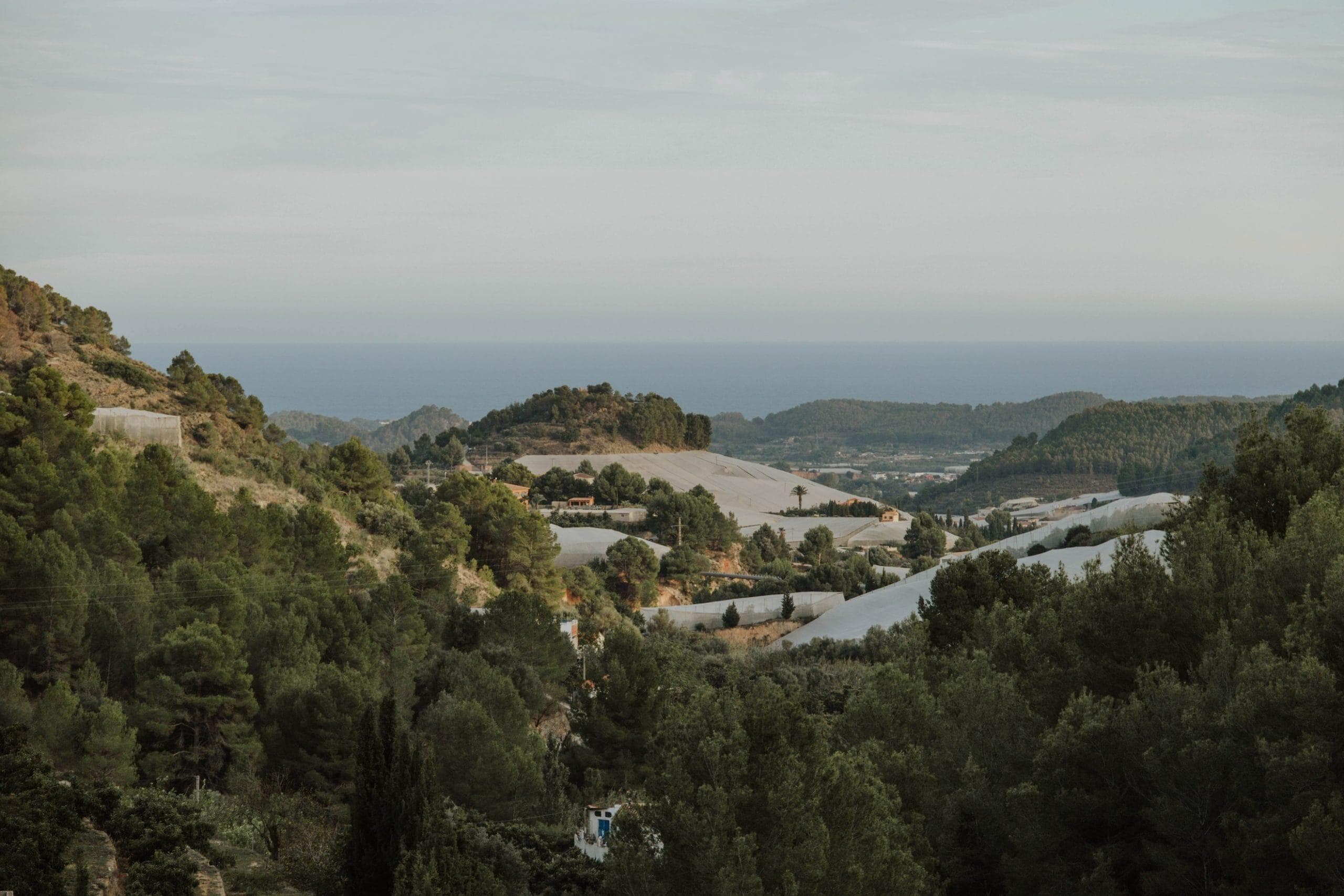 The stunning view of nature, with the sea shimmering in the distance.