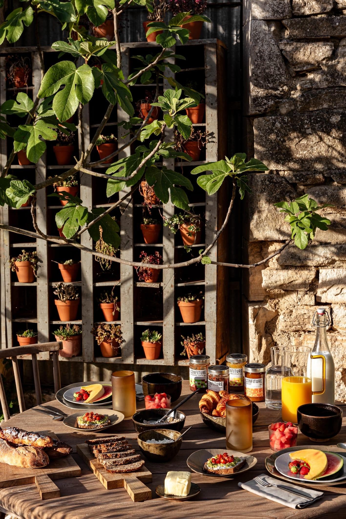 Breakfast in the shade of the fig tree. © Mr Tripper