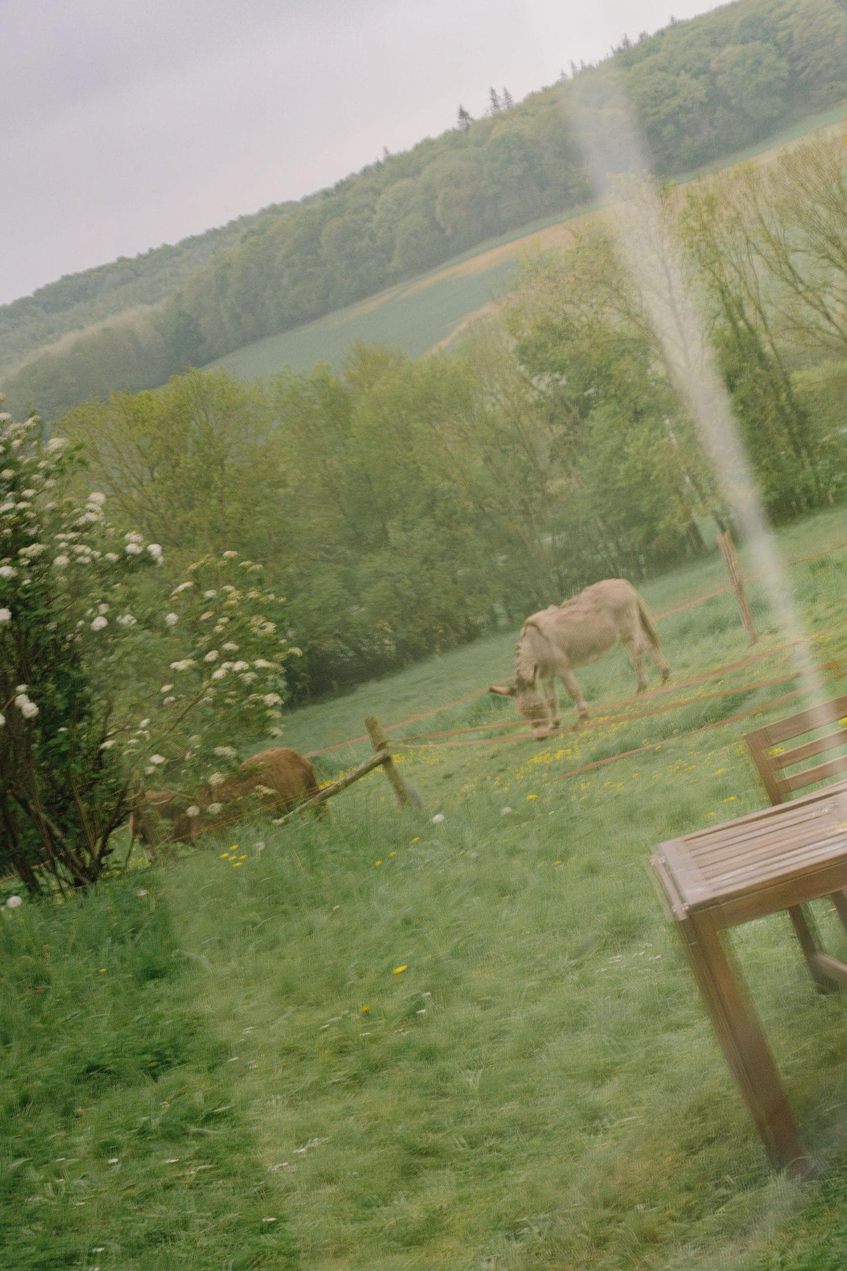Le matin, on salue les voisins. © Jeanne Perrotte
