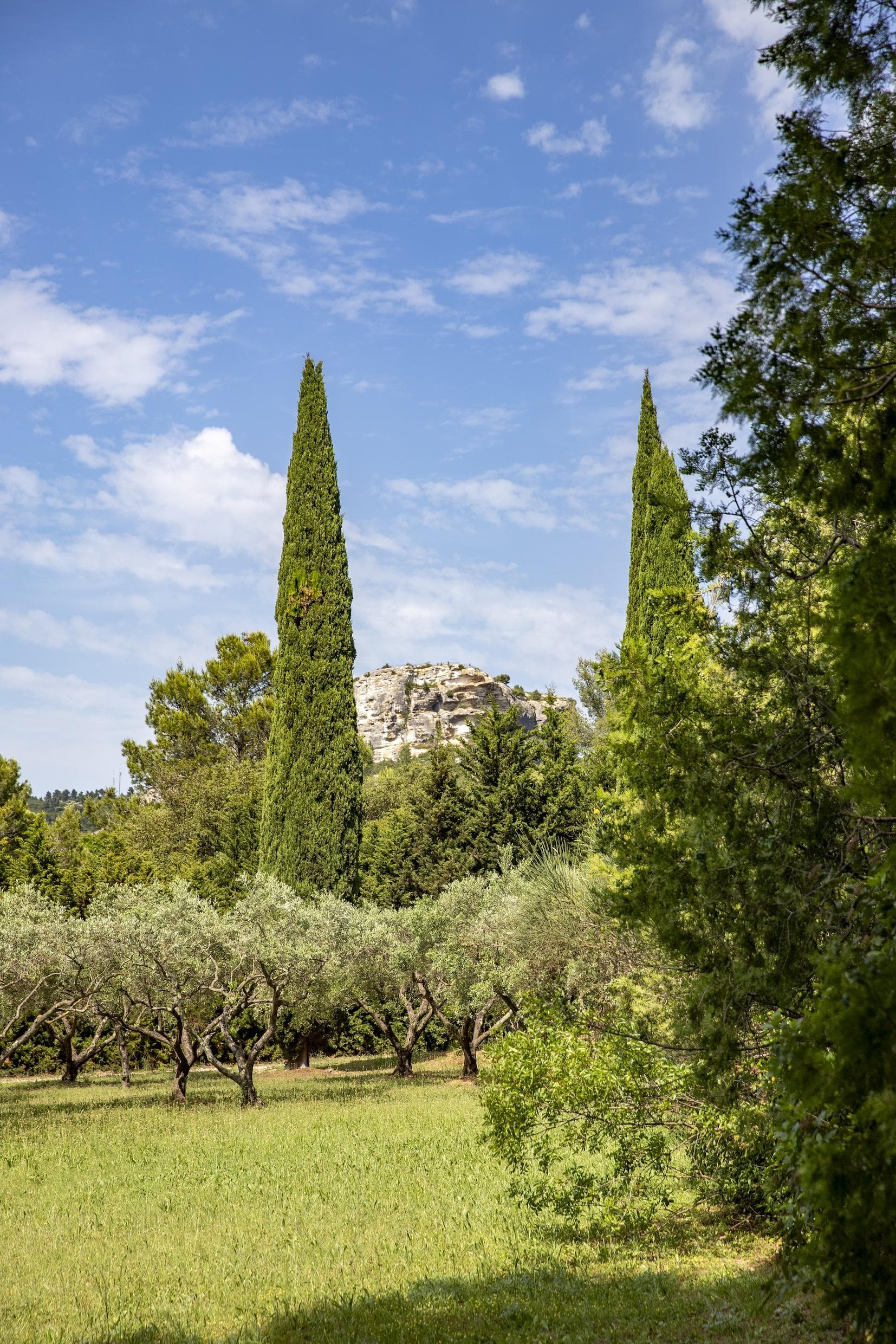 Autour du mas, les cyprès côtoient les carrières.