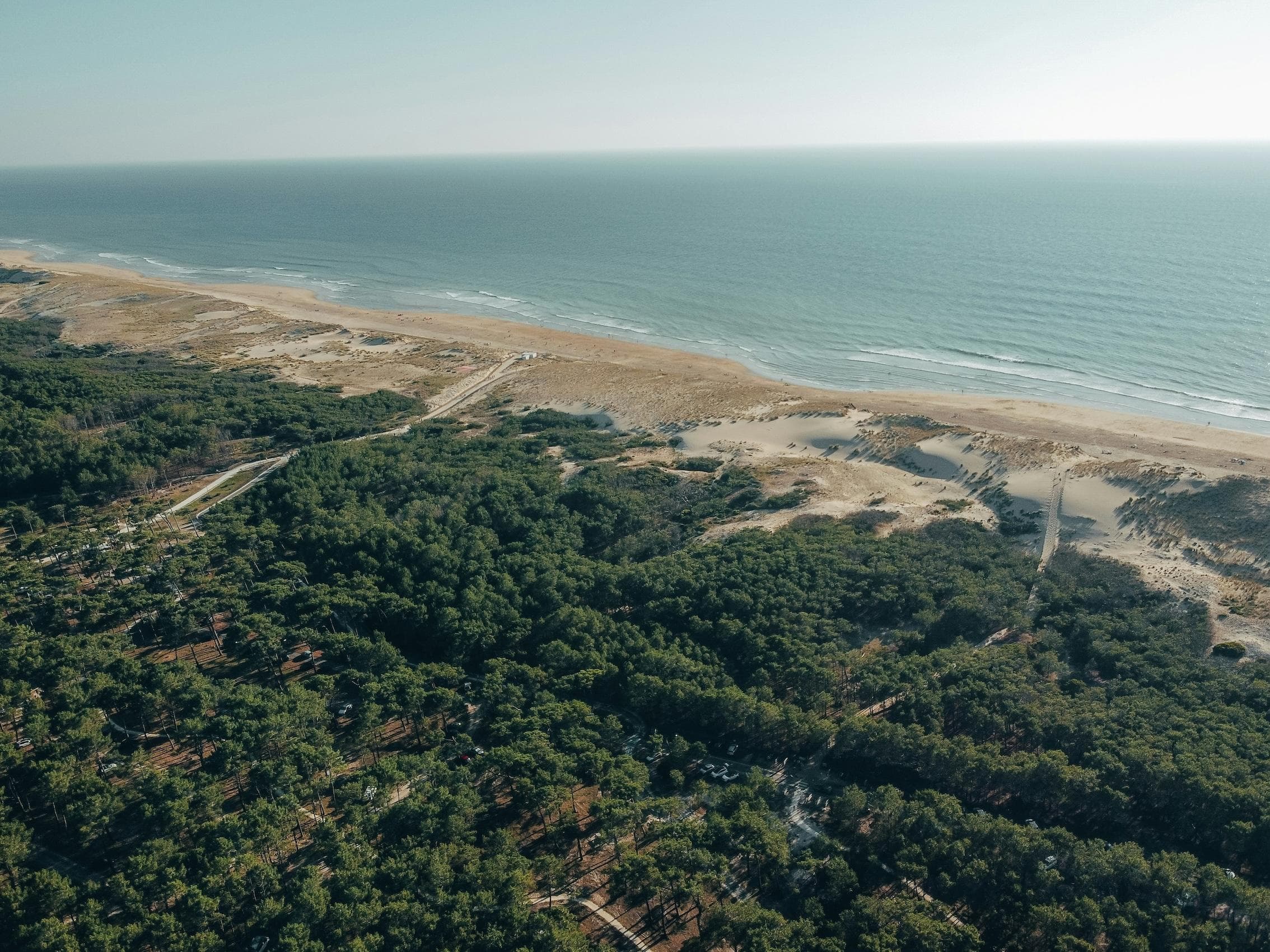 Aerial view of a coastal landscape with dense green forest, sandy dunes, and a wide beach bordering the calm ocean under a clear sky.