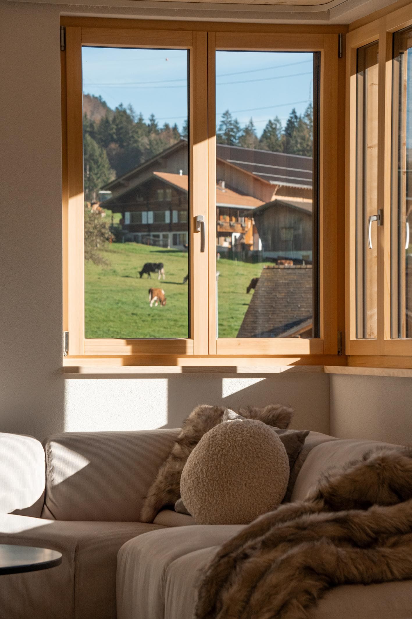 Here, we pass the time watching the cows graze.