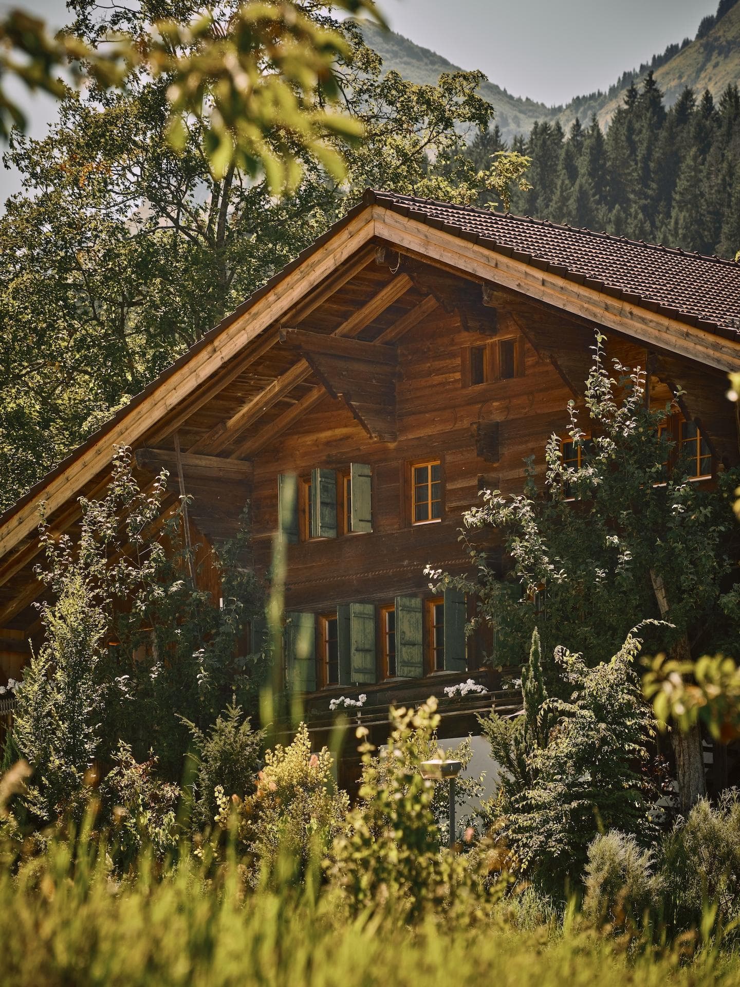 Entre les sapins, Le Chalet Glacier apparaît.