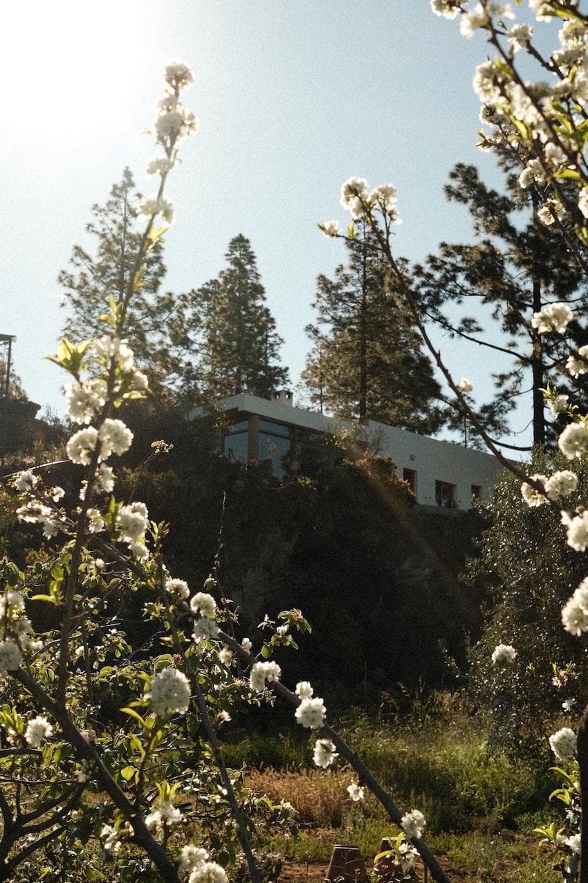 Finca Piedra El Coto apparaît entre les essences locales.