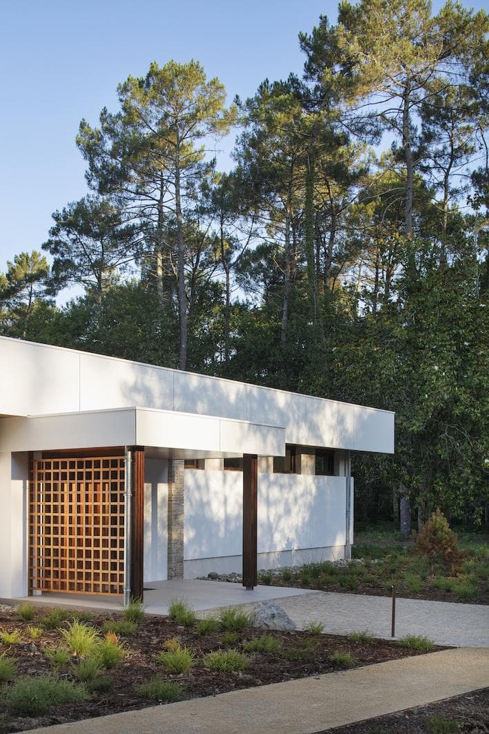 The mid-century building among the pine trees. © Thomas Liaunet