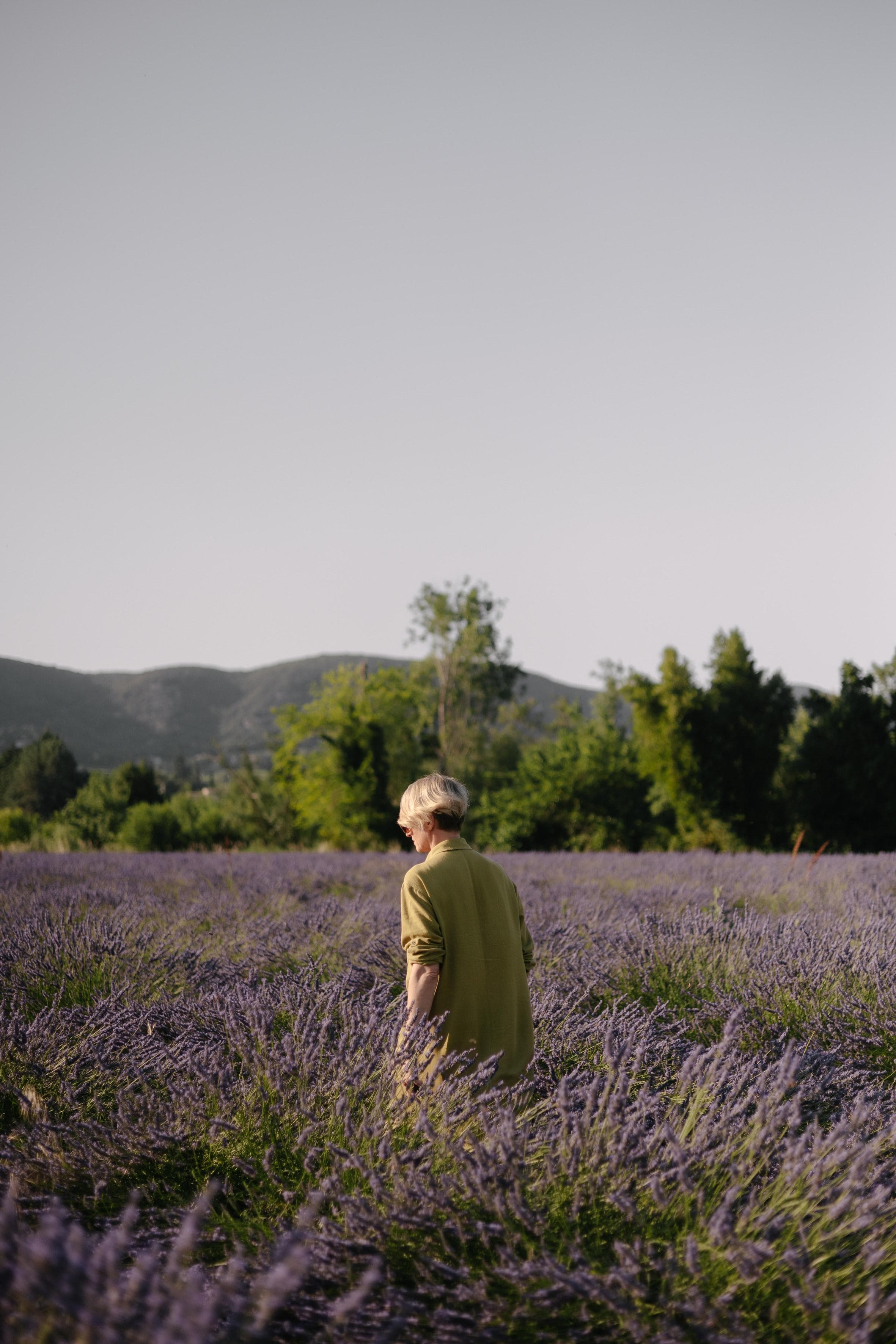 All around, endless lavender fields unfold. © Eva Maria Fabian