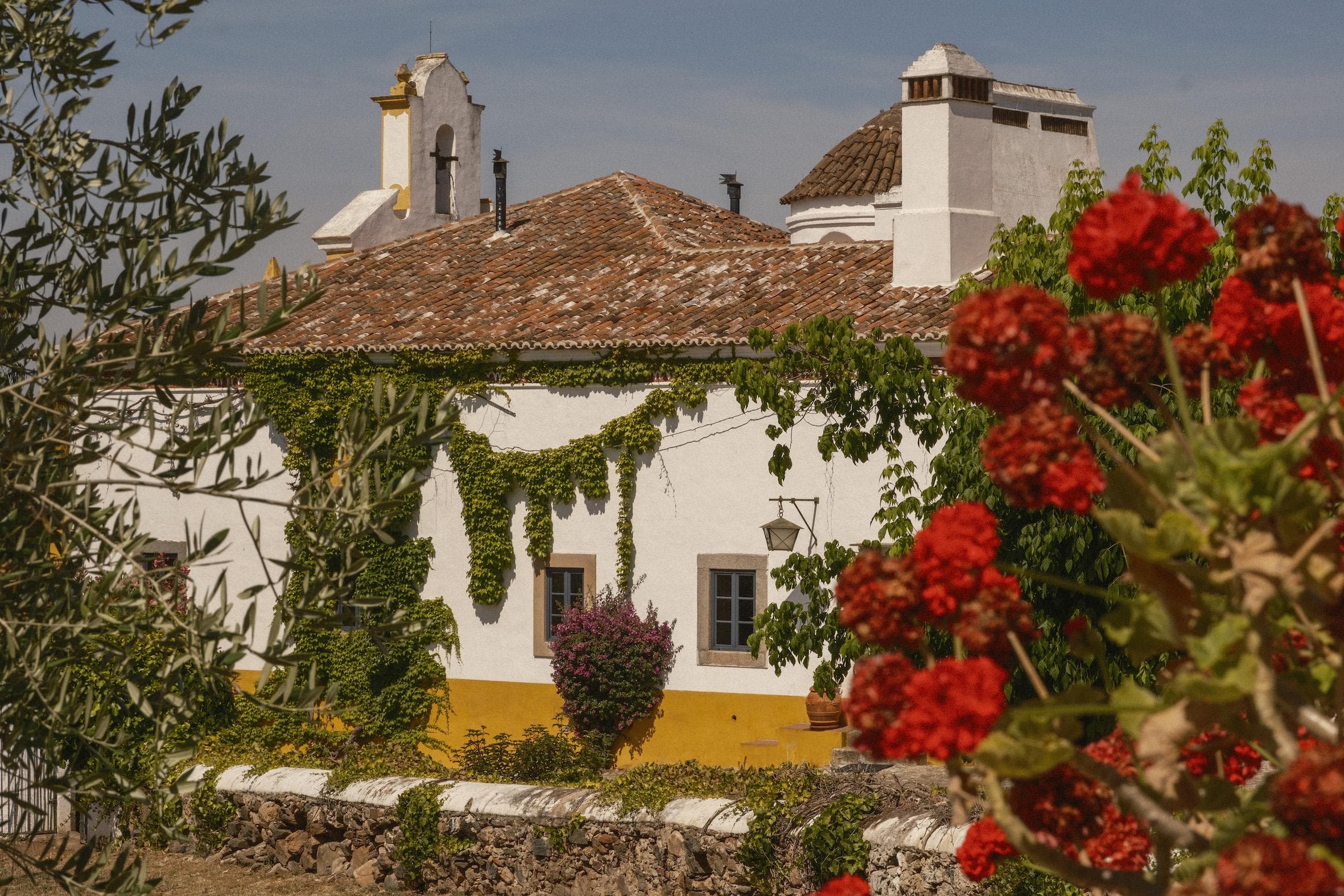 A traditional white house with a tiled roof and yellow trim is covered partly in green vines, surrounded by lush greenery and red flowers under a clear blue sky.