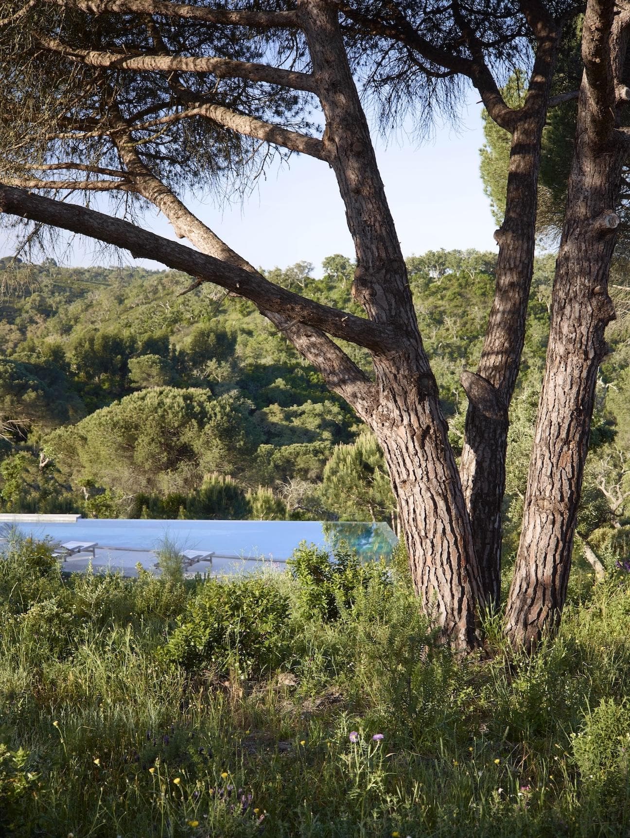 After exploring the area, we cool off in the pool. © Jan Liergois