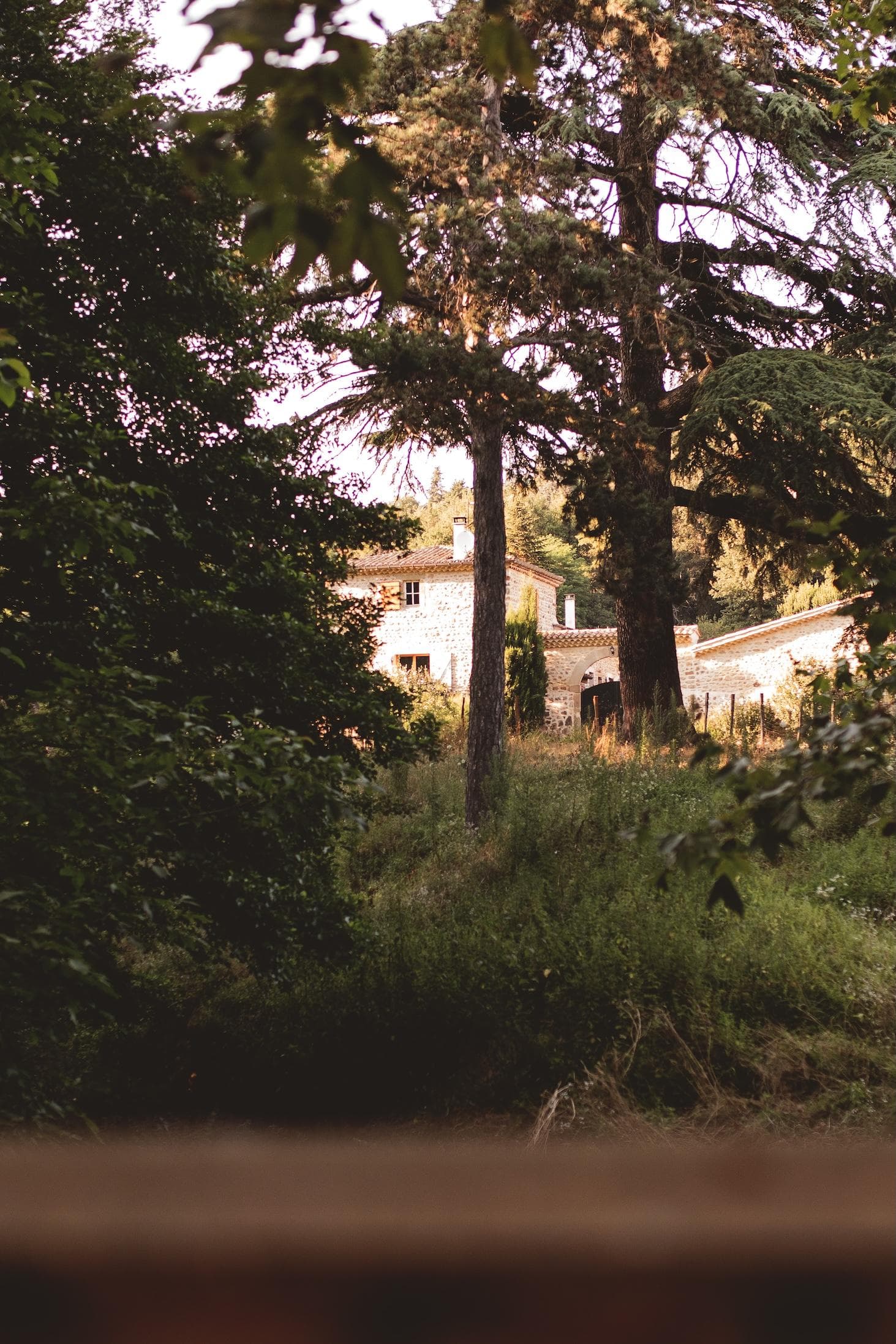 Between the trees, La Suite Méditerranéenne appears. © Vé Studio