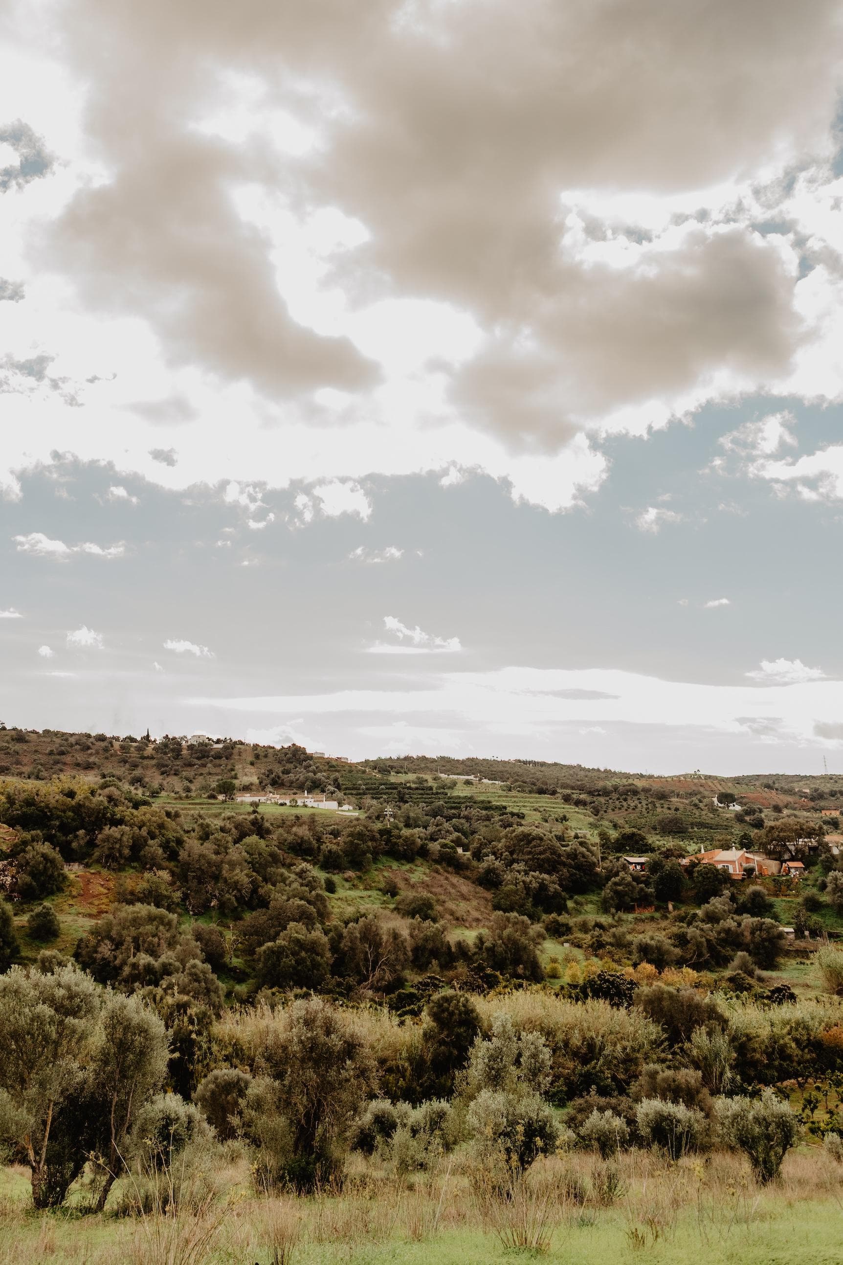 From the house, you can enjoy the landscapes of the Algarve.