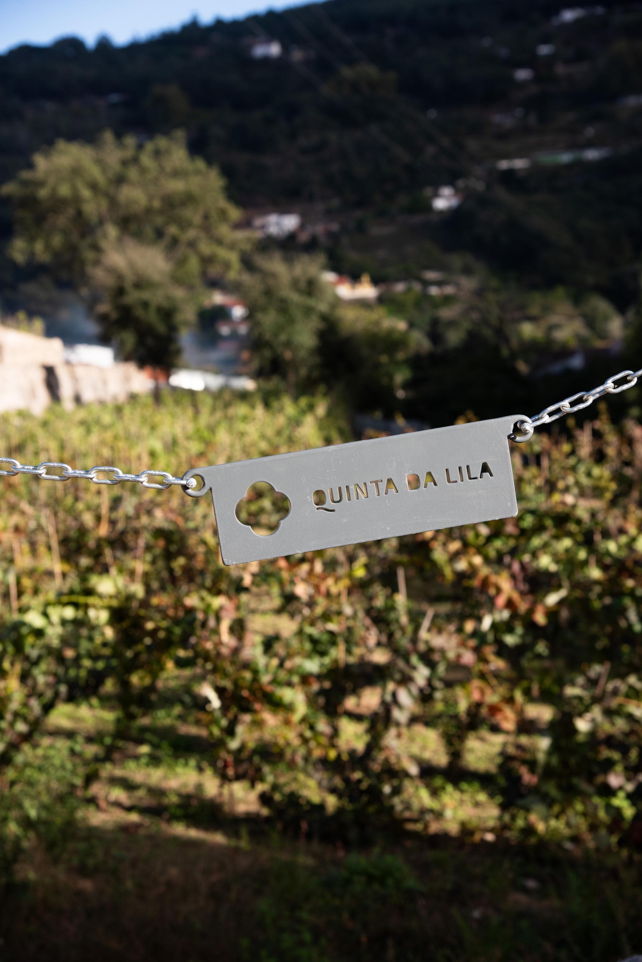 In the afternoon, we stroll through the estate. © Zavial Studio