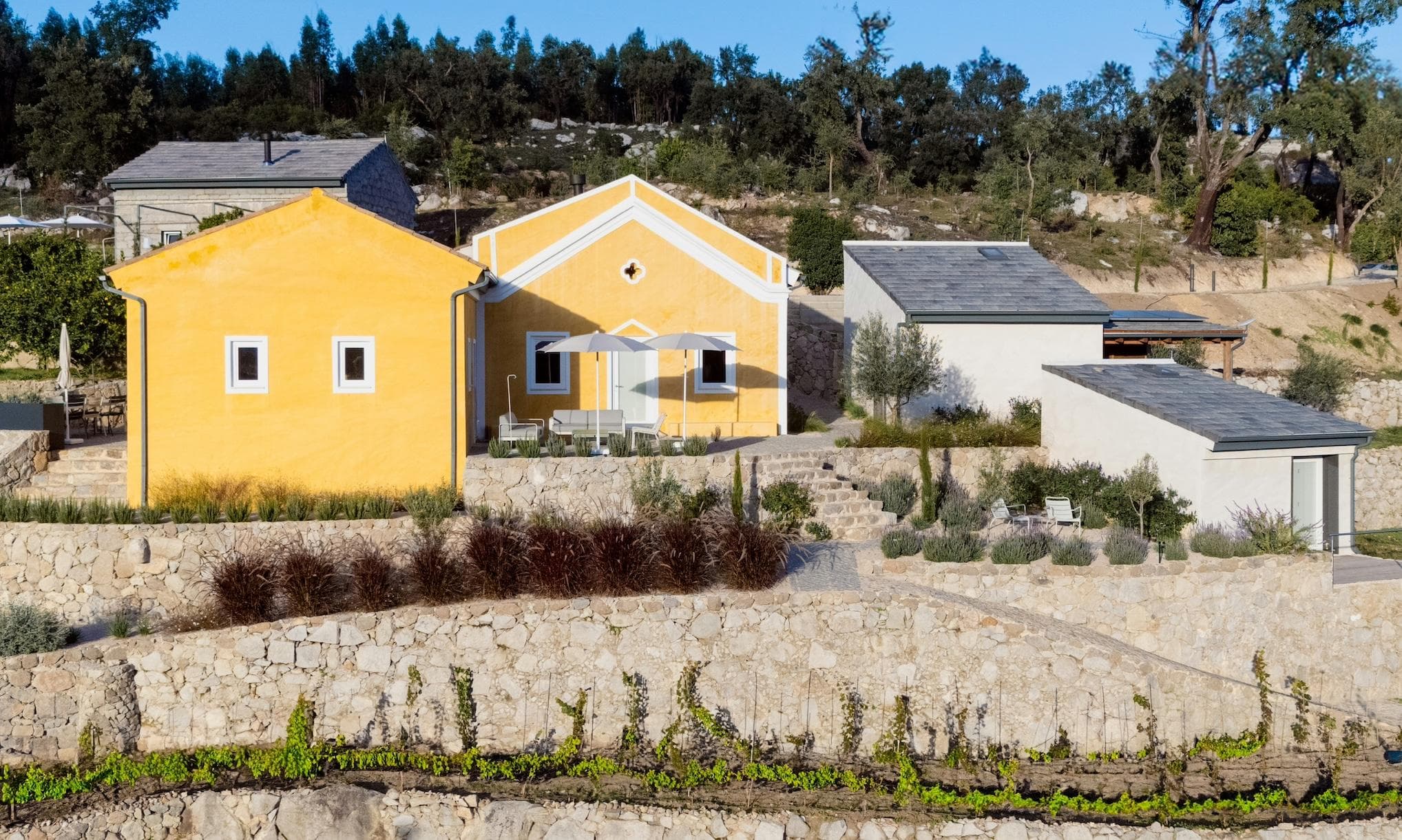 The vibrant colors of Quinta da Lila.