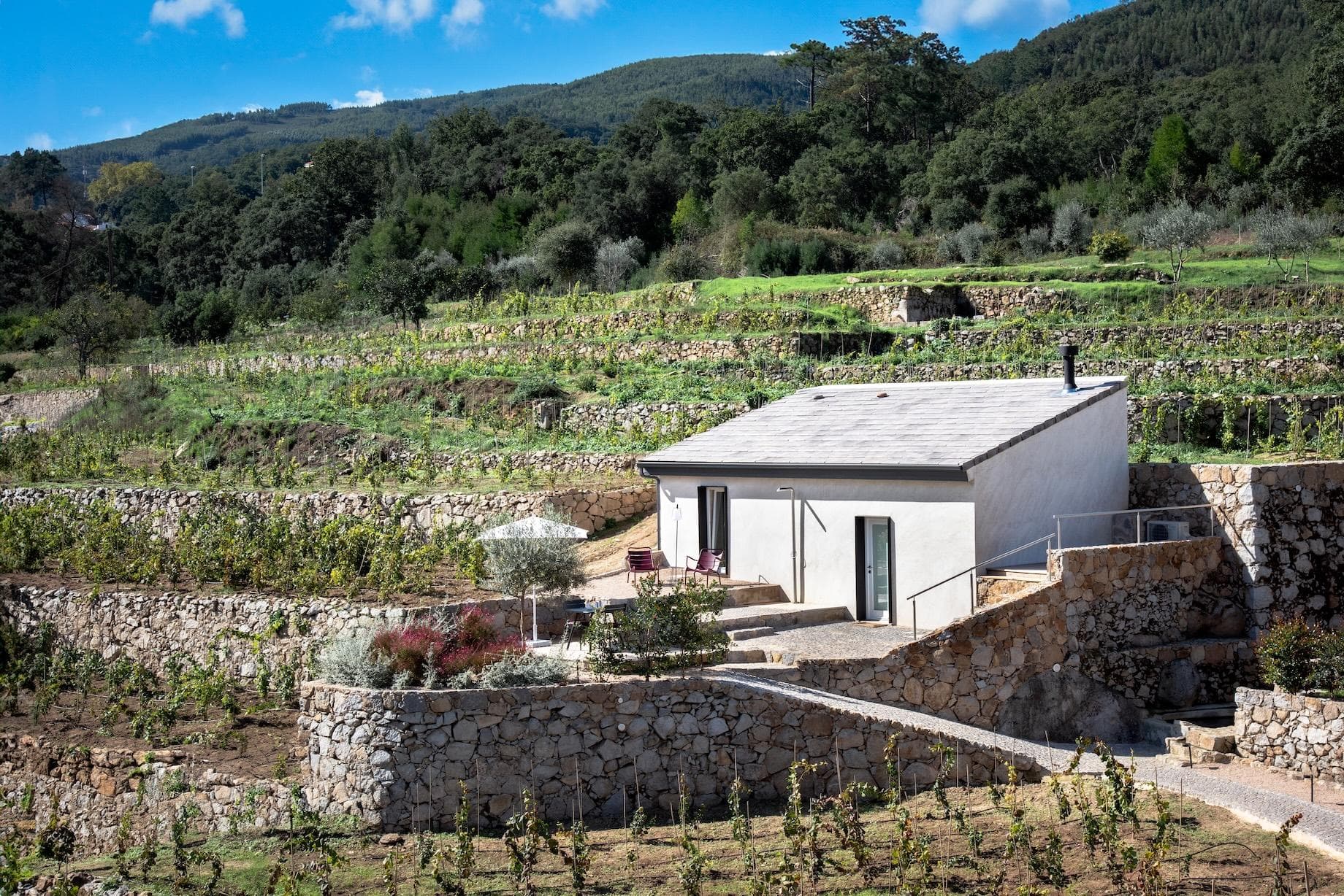 The Baker’s Cottage amid the vineyards. © Zavial Studio