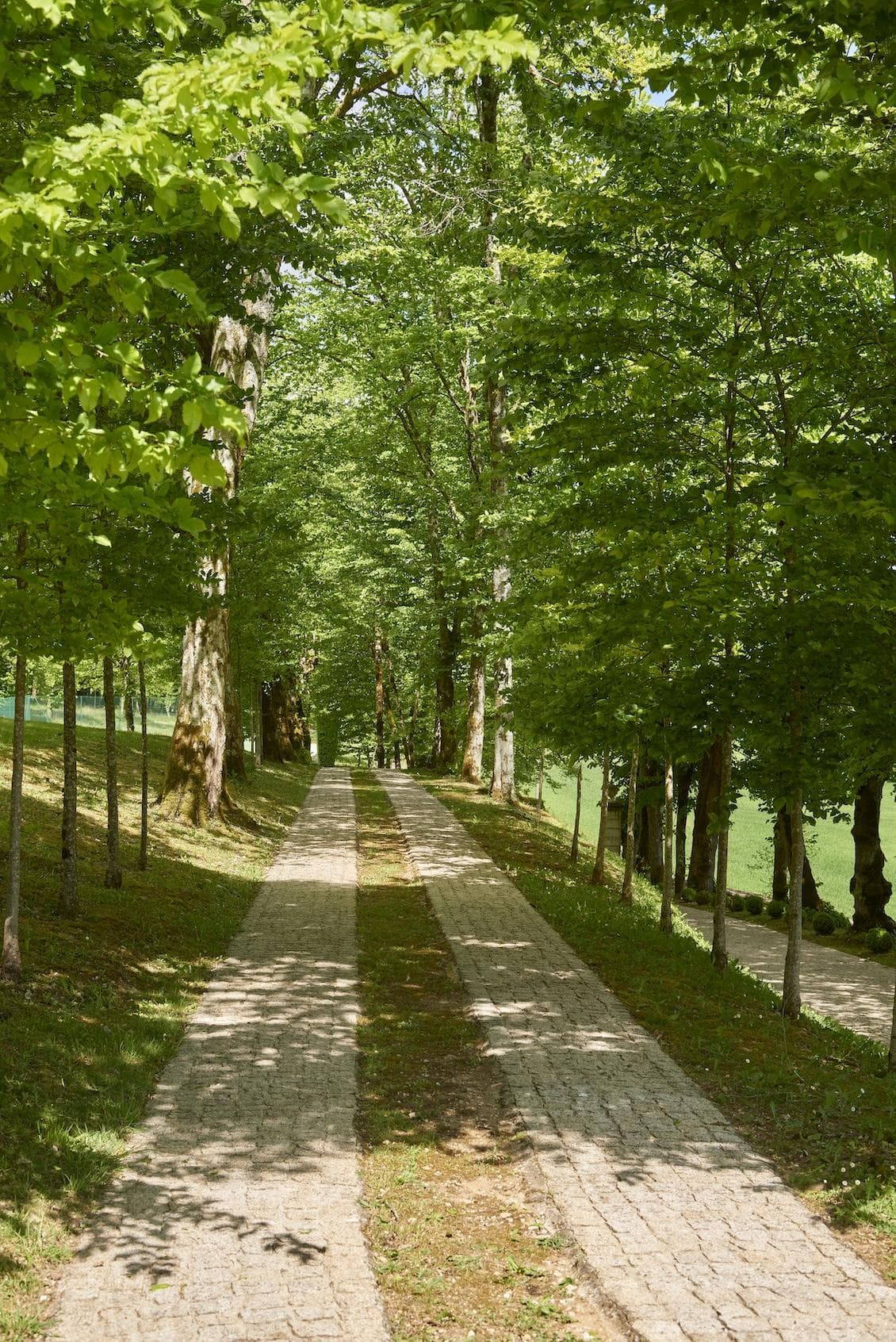 Bienvenue au Domaine de Lavy.