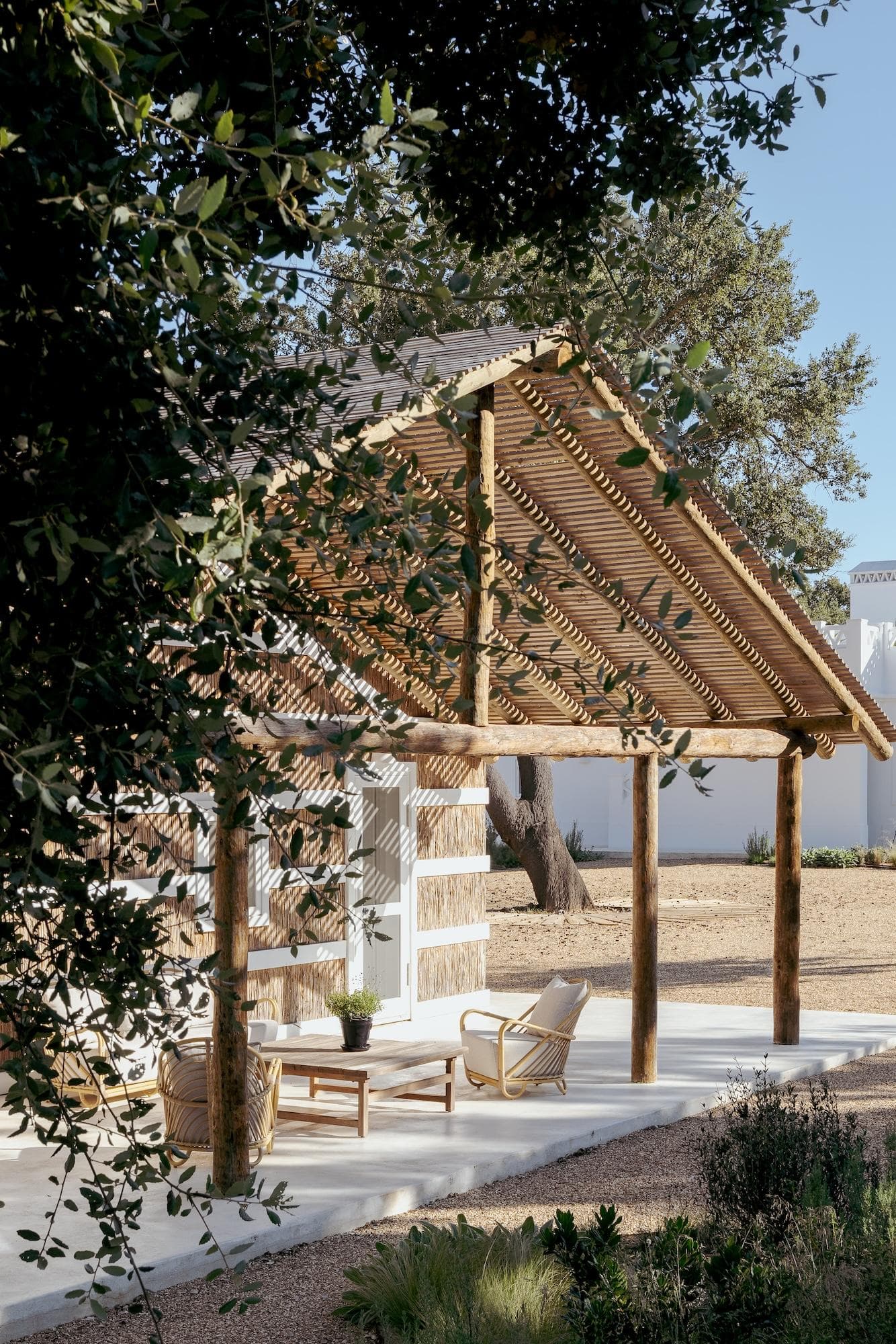 Sunbathing among the cork oaks. © Pedro Martinstavares