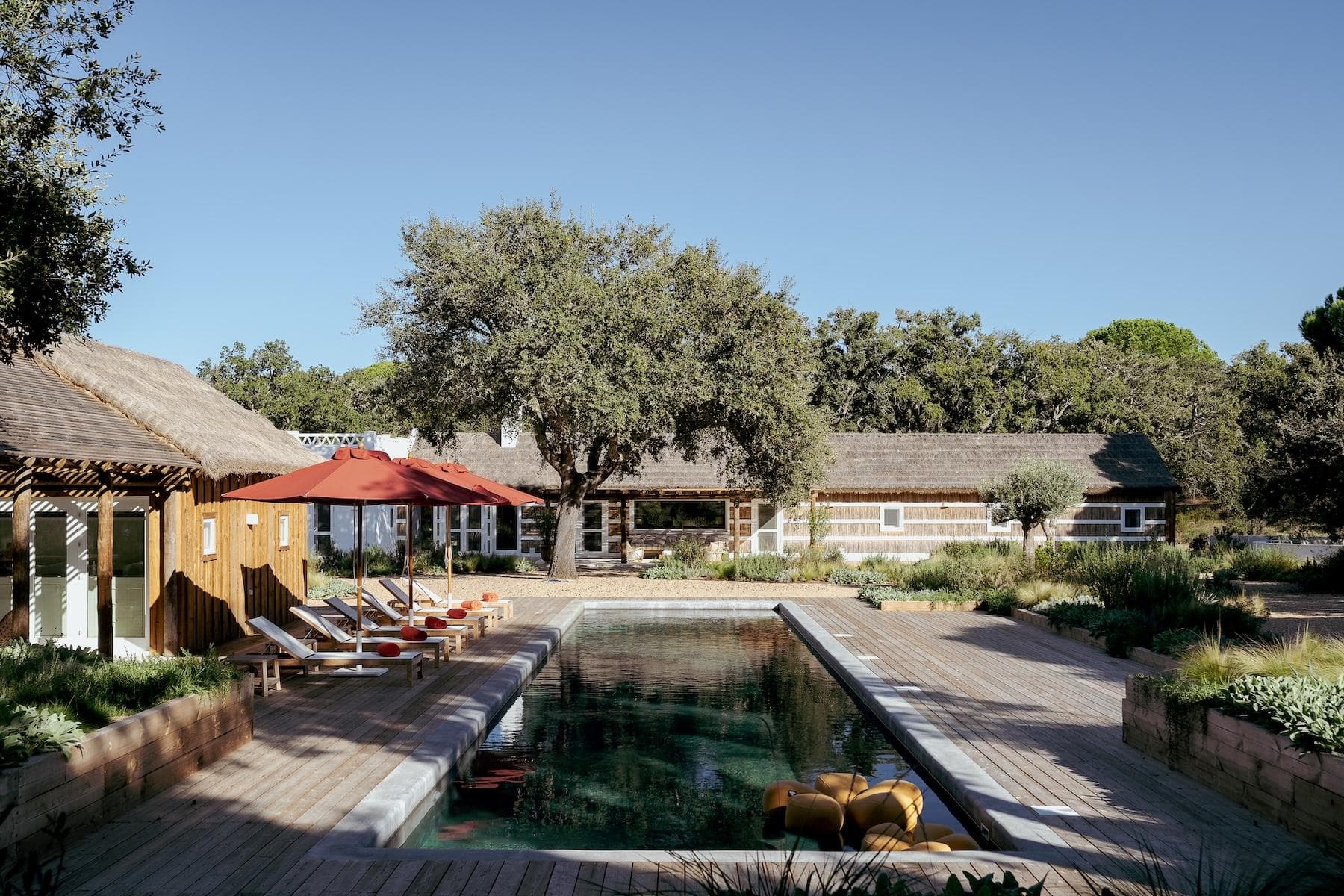 A rectangular outdoor pool with lounge chairs and red umbrellas sits beside wooden buildings with thatched roofs, surrounded by trees and greenery under a clear blue sky.